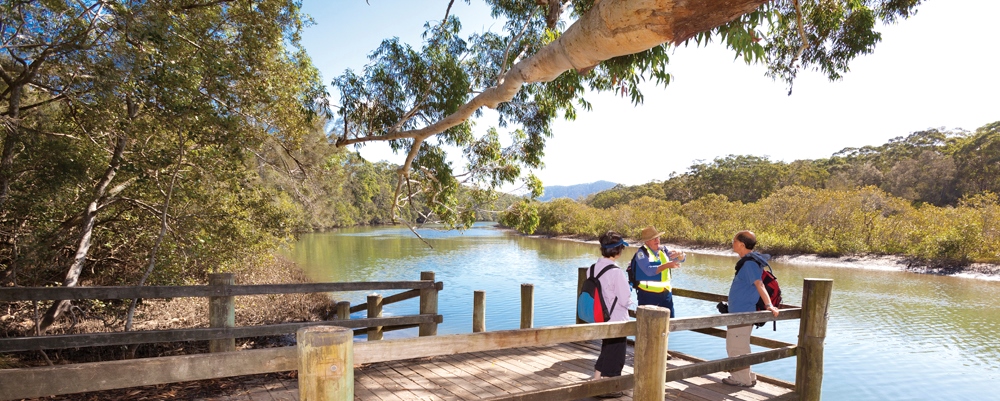 Coffs Creek, one of numerous waterways in the Coffs region. Credit: Coffs Harbour City Council